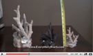 biorb coral sculpture video